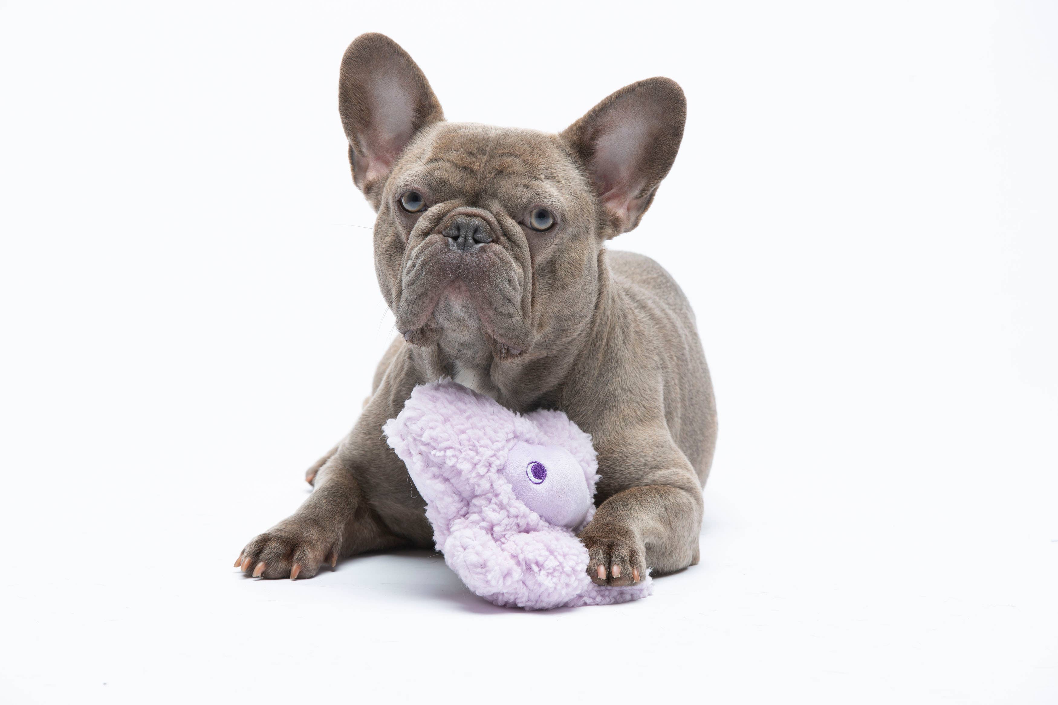 Antistress-Plüschtier mit ätherischen Ölen - Nocciolino