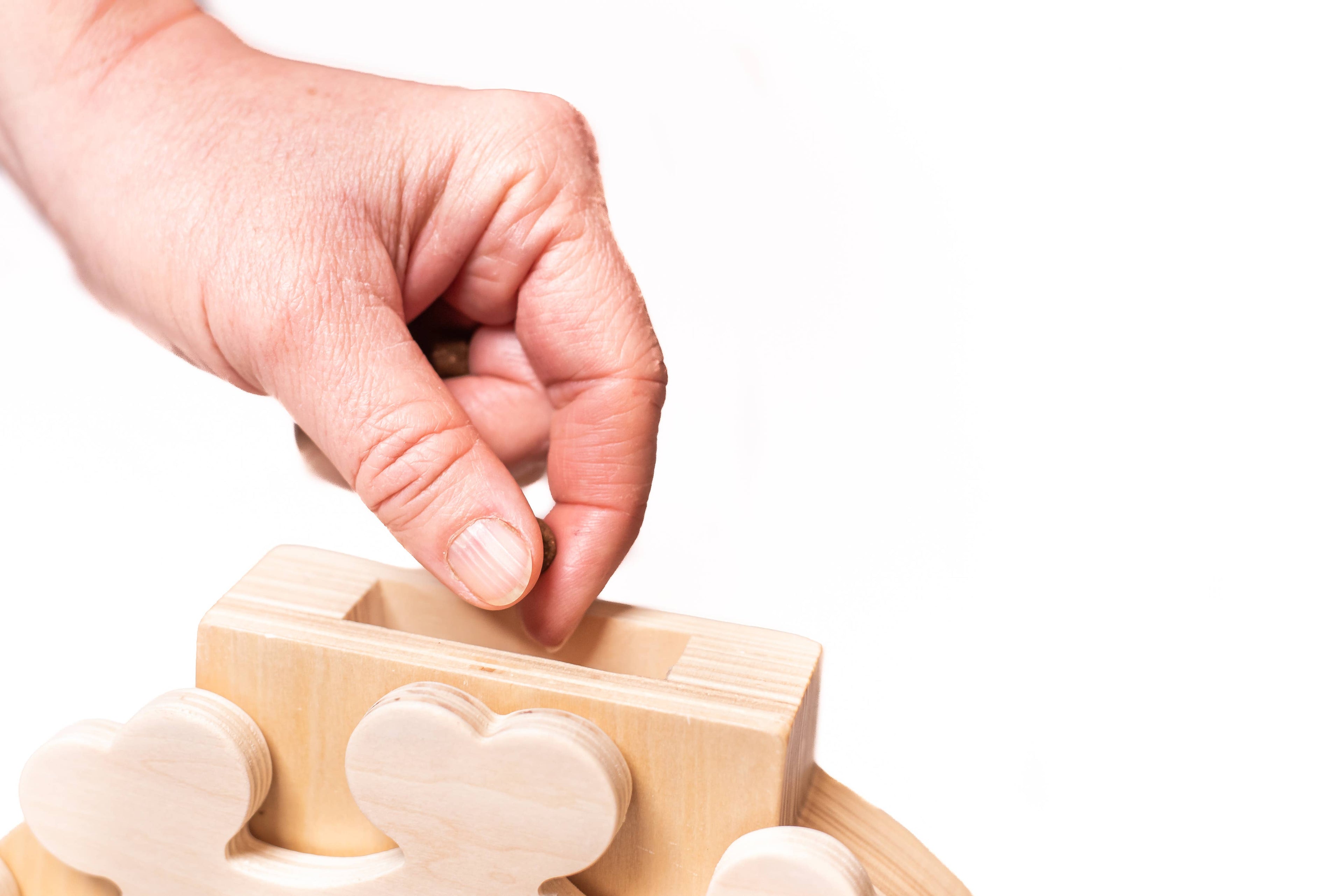 Clock - Spielzeug zur Bereicherung von Hund und Katze