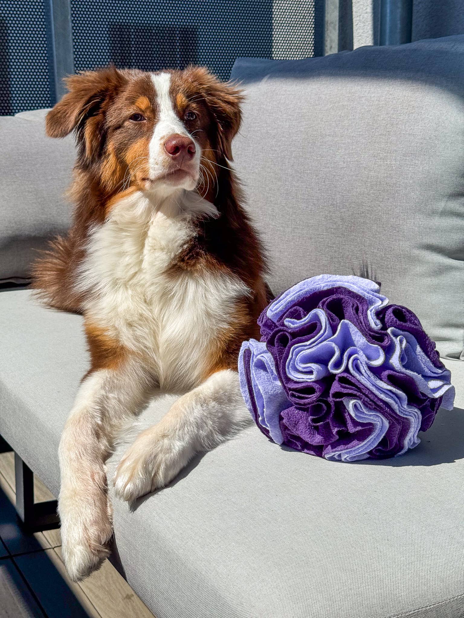 Schnüffelball für Hunde, Snackspielzeug Hund, Hundespielzeug