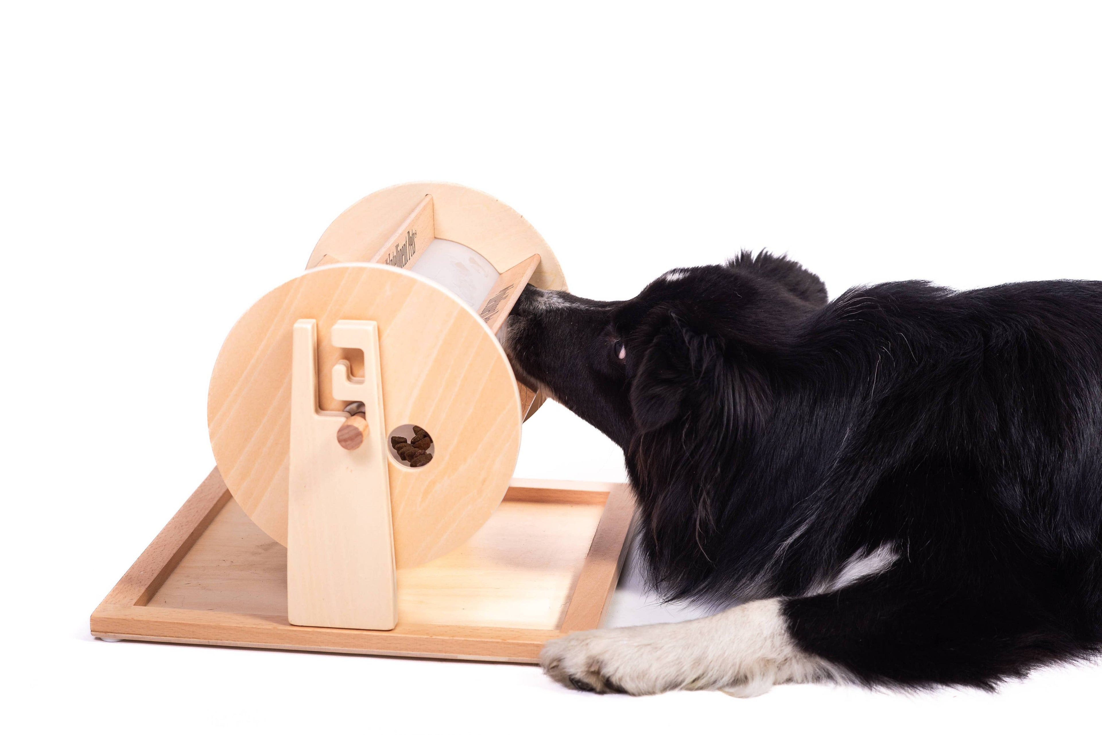 Intelligenzspielzeug-Set „Glücksrad, Piano & Happy Roll“ – 3 Level für schlaue Hunde