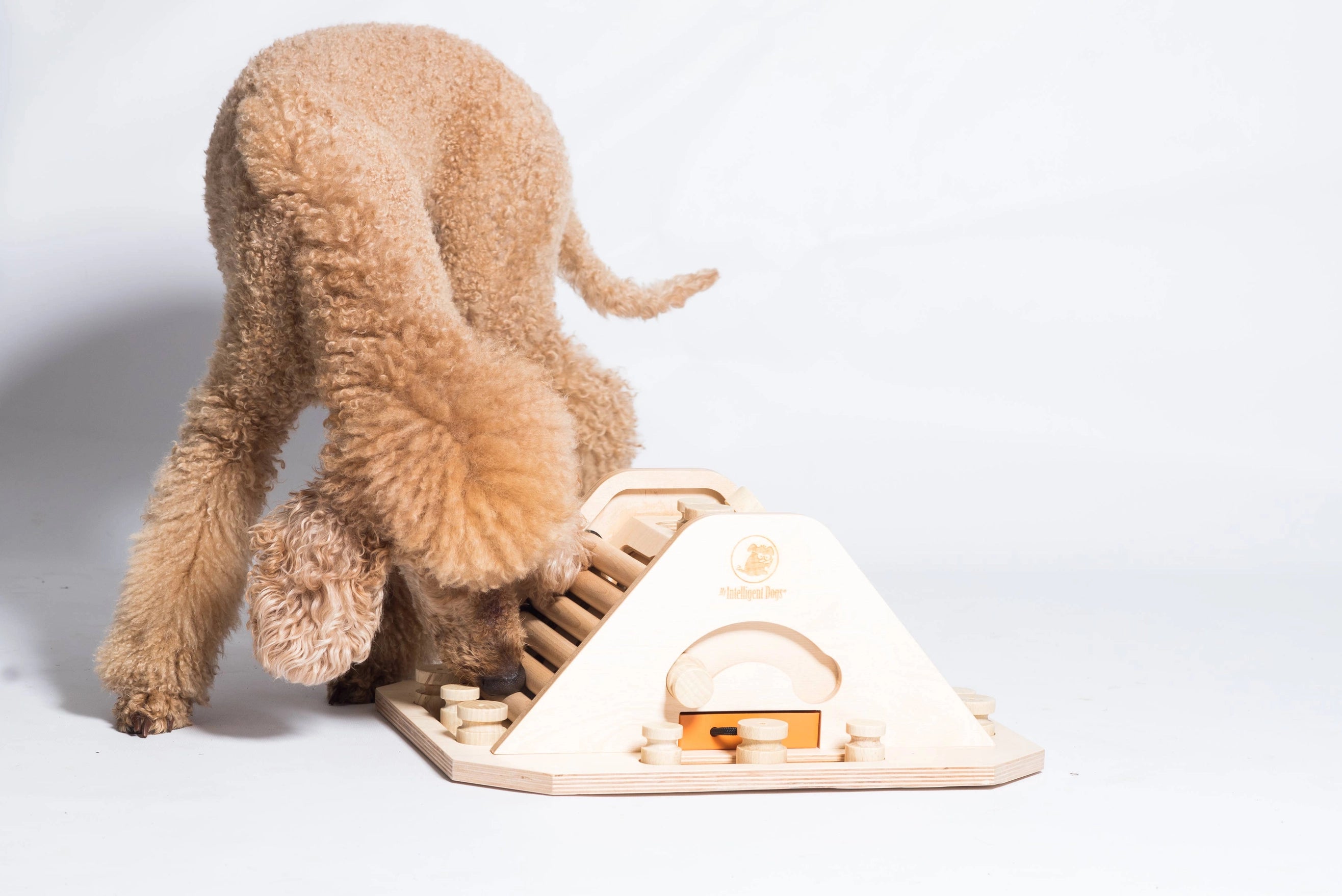 Pyramide – Intelligenzspiel für Hunde | Anspruchsvoll