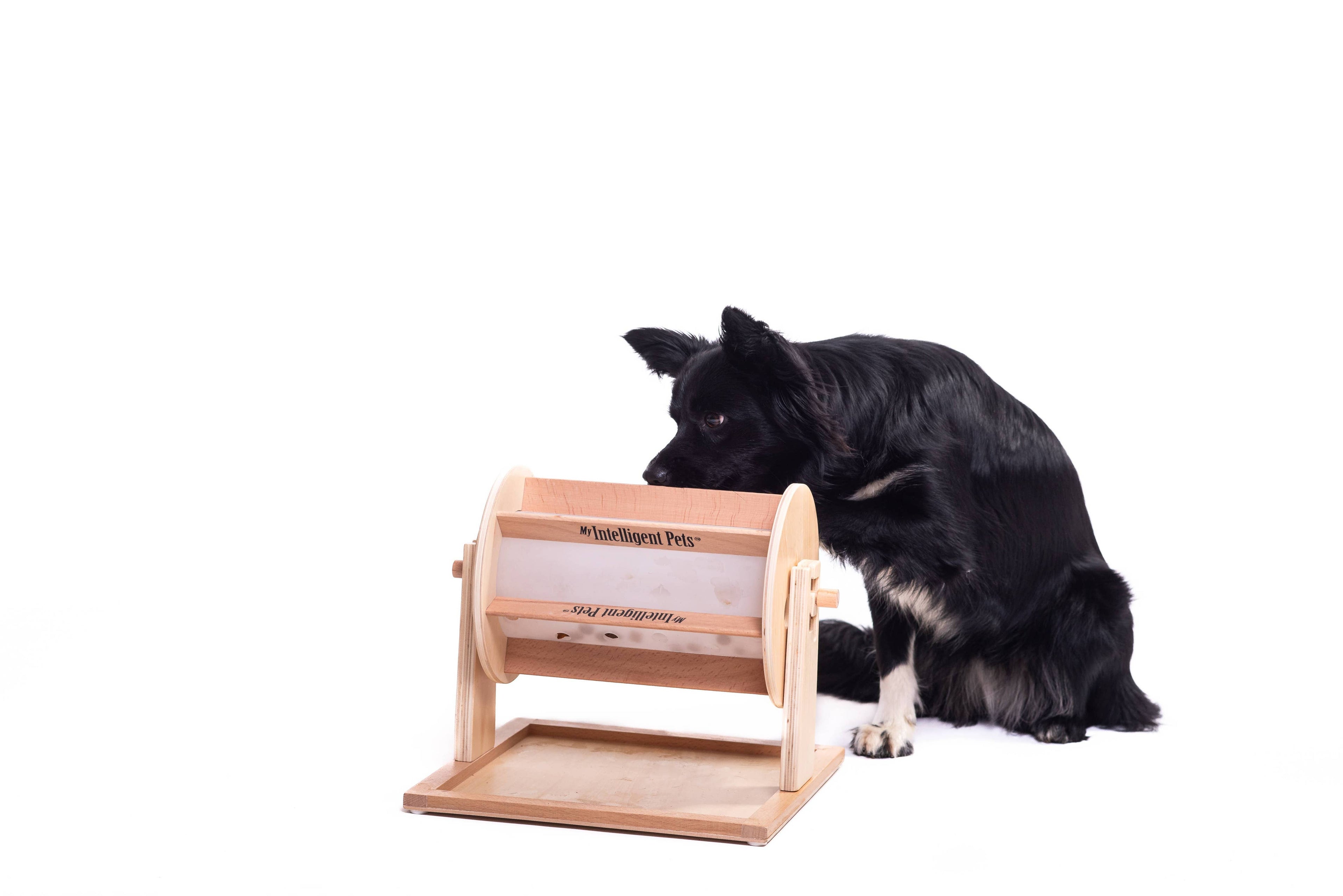 Intelligenzspielzeug-Set „Glücksrad, Piano & Happy Roll“ – 3 Level für schlaue Hunde