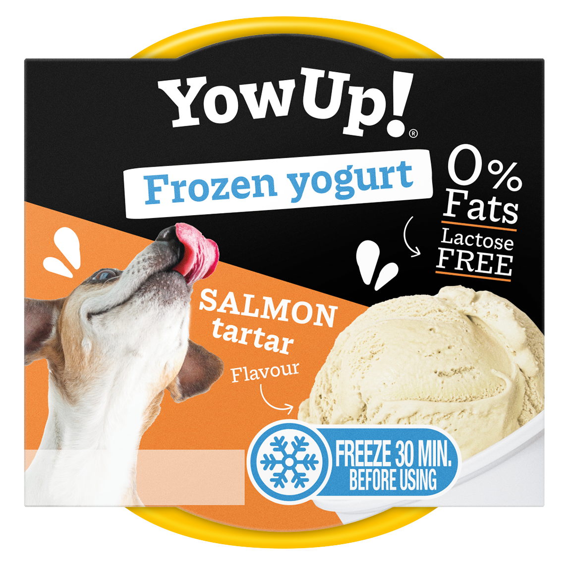 YowUp! Gefrorener Joghurt Lachs Tartar