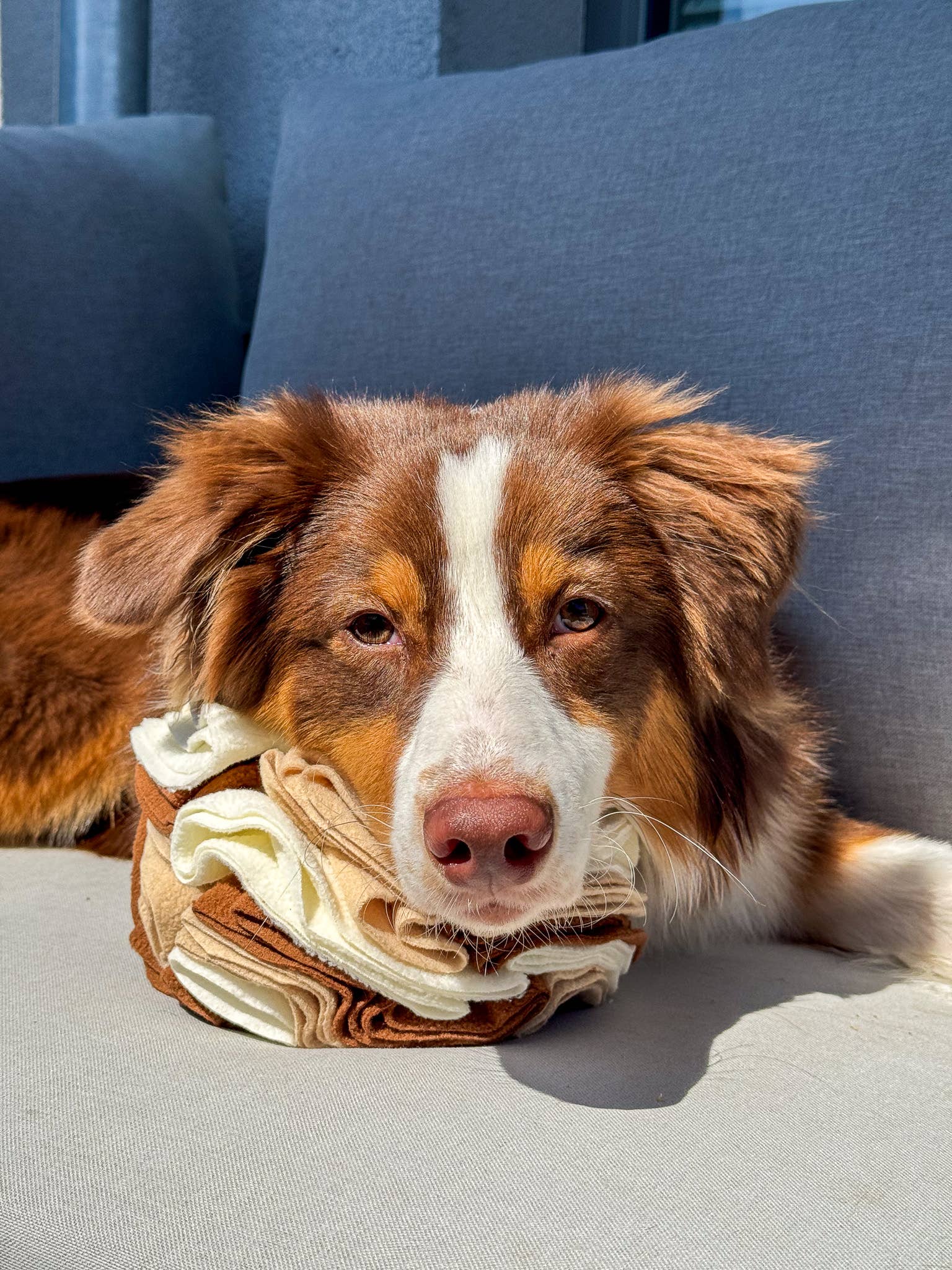 Schnüffelball für Hunde, Snackspielzeug Hund, Hundespielzeug