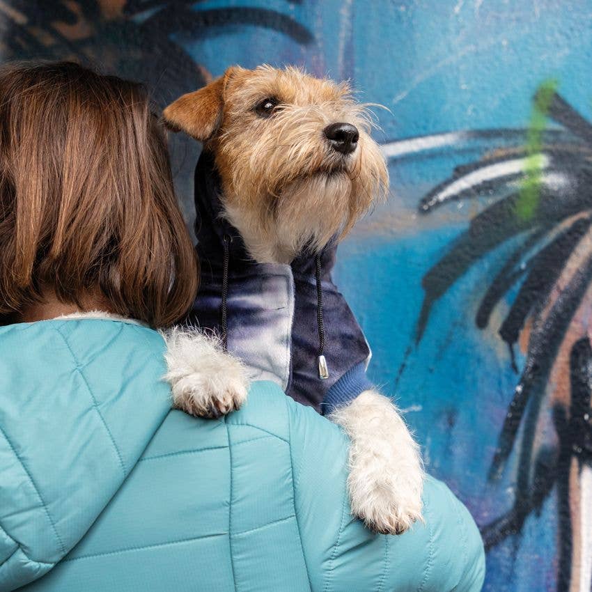 Hunde-Hoodie „Kaleido“ – Weicher Hoodie