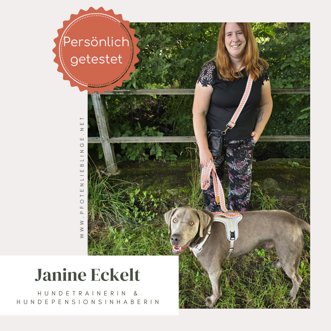 Hundegeschirr Pink/Beige – Verstellbar – Kollektion Très Chic
