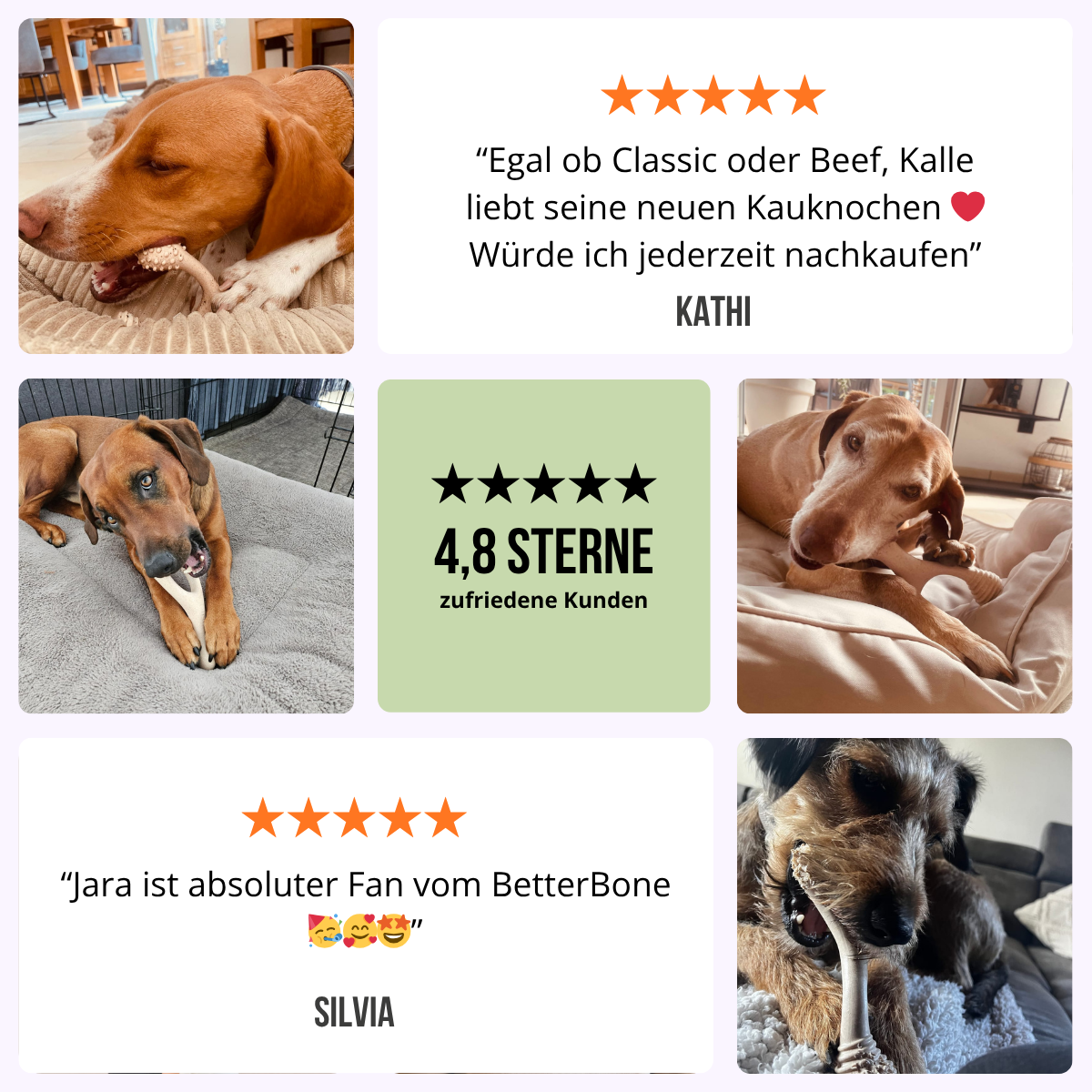 BetterBone Hundeknochen – Nachhaltig, Zahnfreundlich & Langlebiges Kauspielzeug