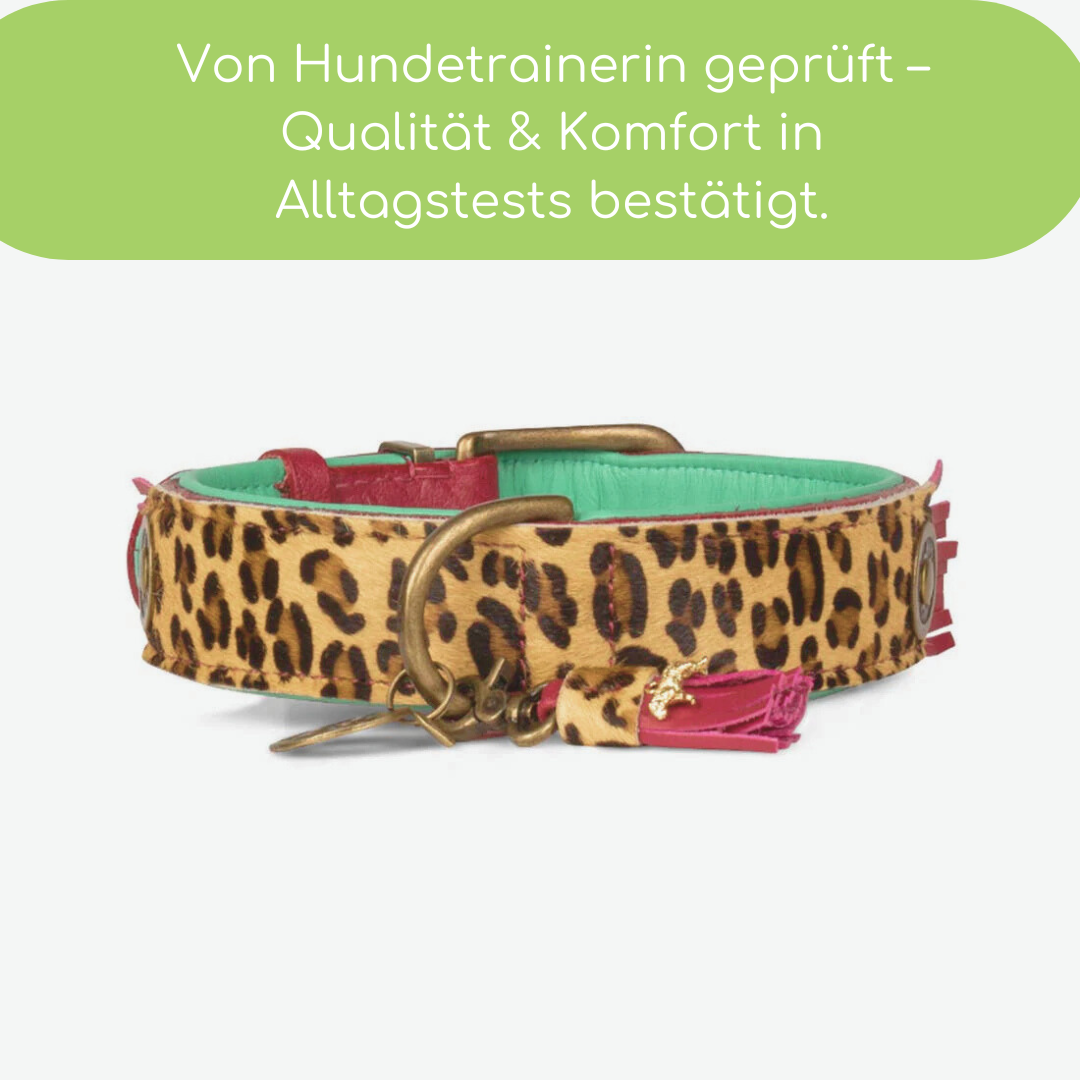 Lou Lou Halsband (Leopard)