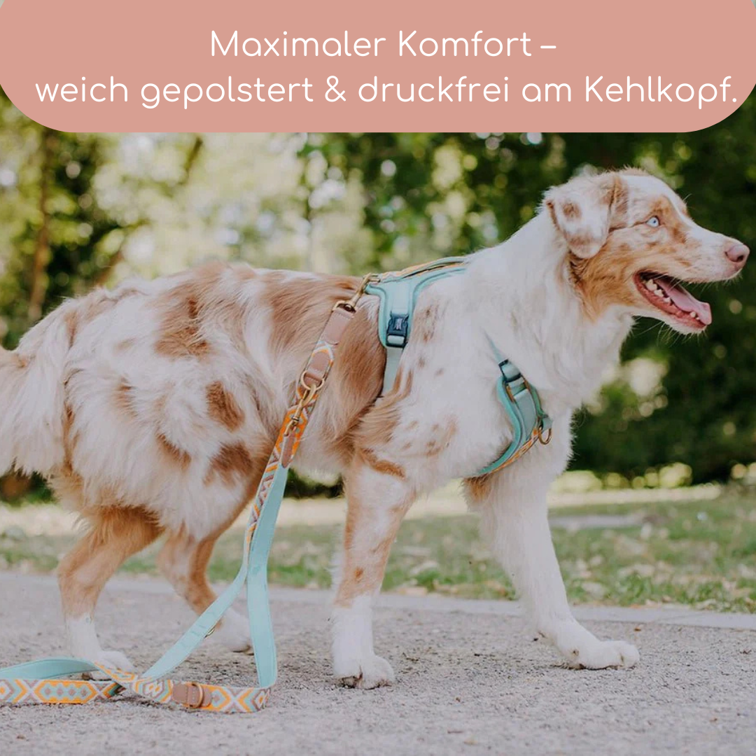 Très Chic Hundegeschirr – Komfort, Sicherheit & Stil in Perfektion Mint/Orange