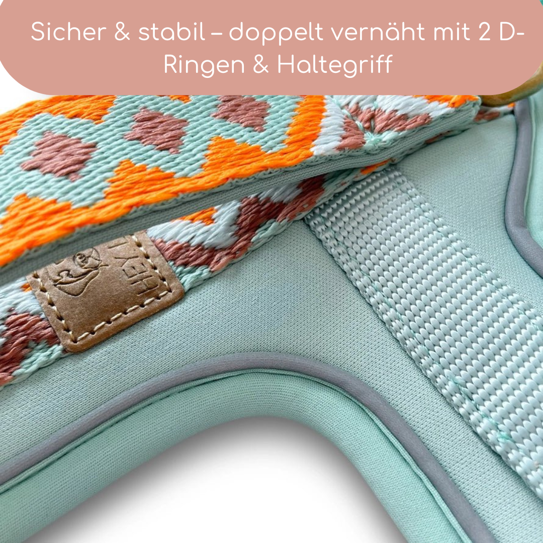 Très Chic Hundegeschirr – Komfort, Sicherheit & Stil in Perfektion Mint/Orange