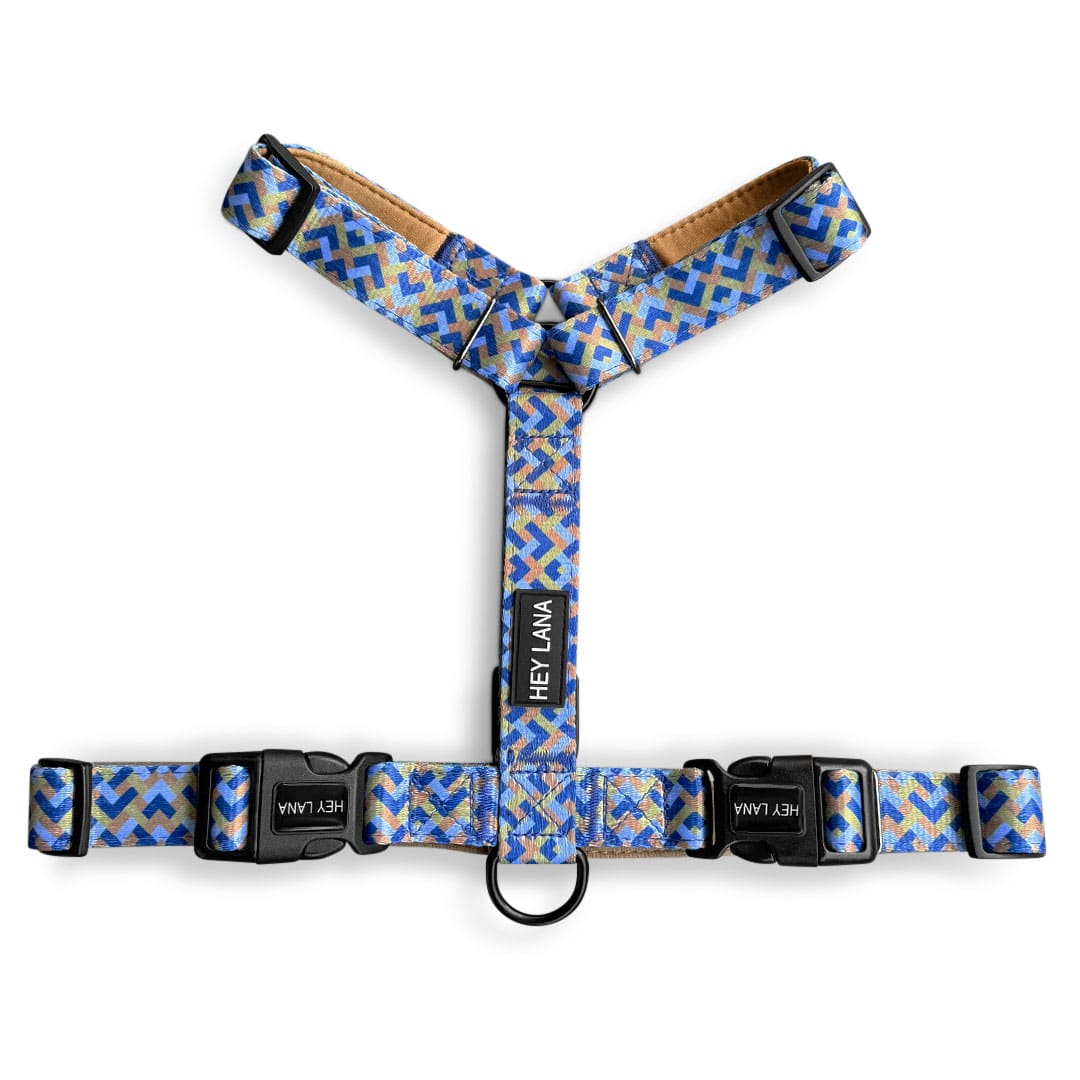Set Hundehalsband, Leine und Geschirr - Mocca/Blau