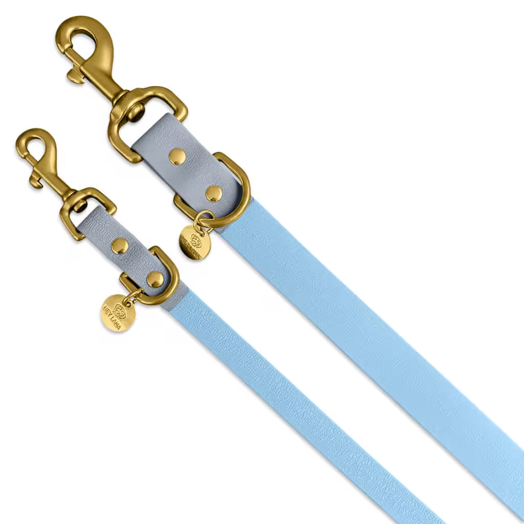 Schmutzabweisendes Geschirr & Leine (Set) in Taupe/Blau