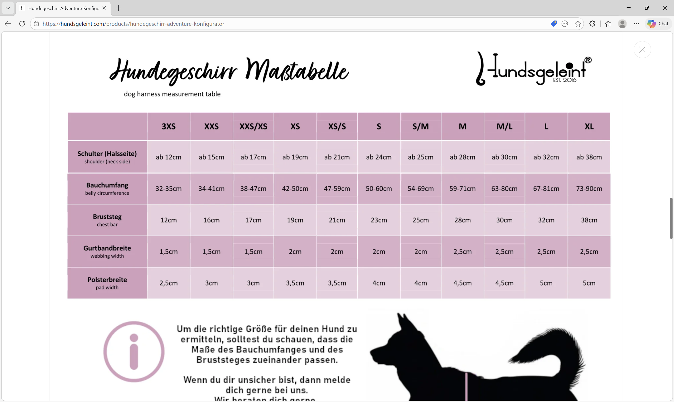 Hundegeschirr WildBloom gepolstert und handgefertigt
