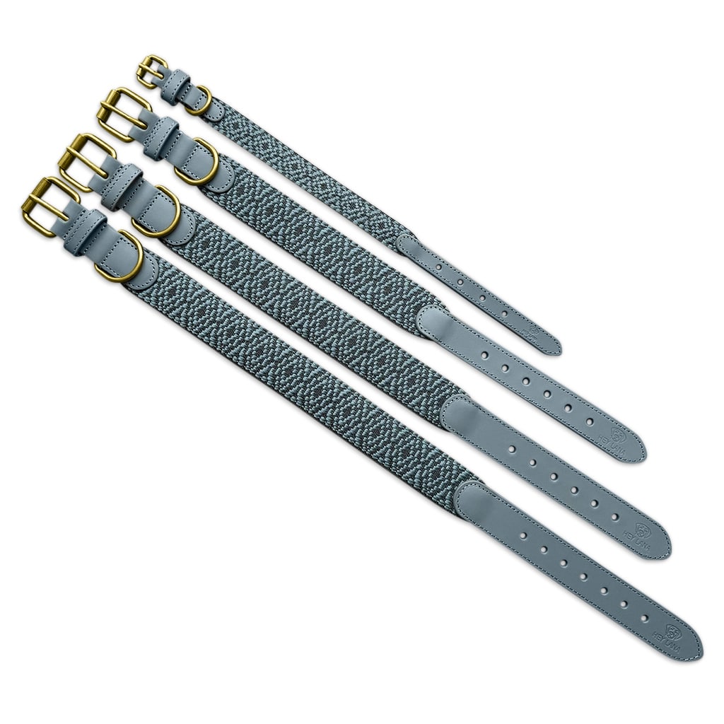 Sparset: Halsband & Leine in Anthrazit/Eisblau