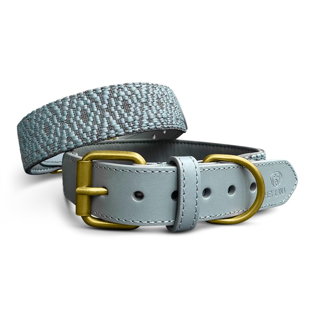 Sparset: Halsband & Leine in Anthrazit/Eisblau