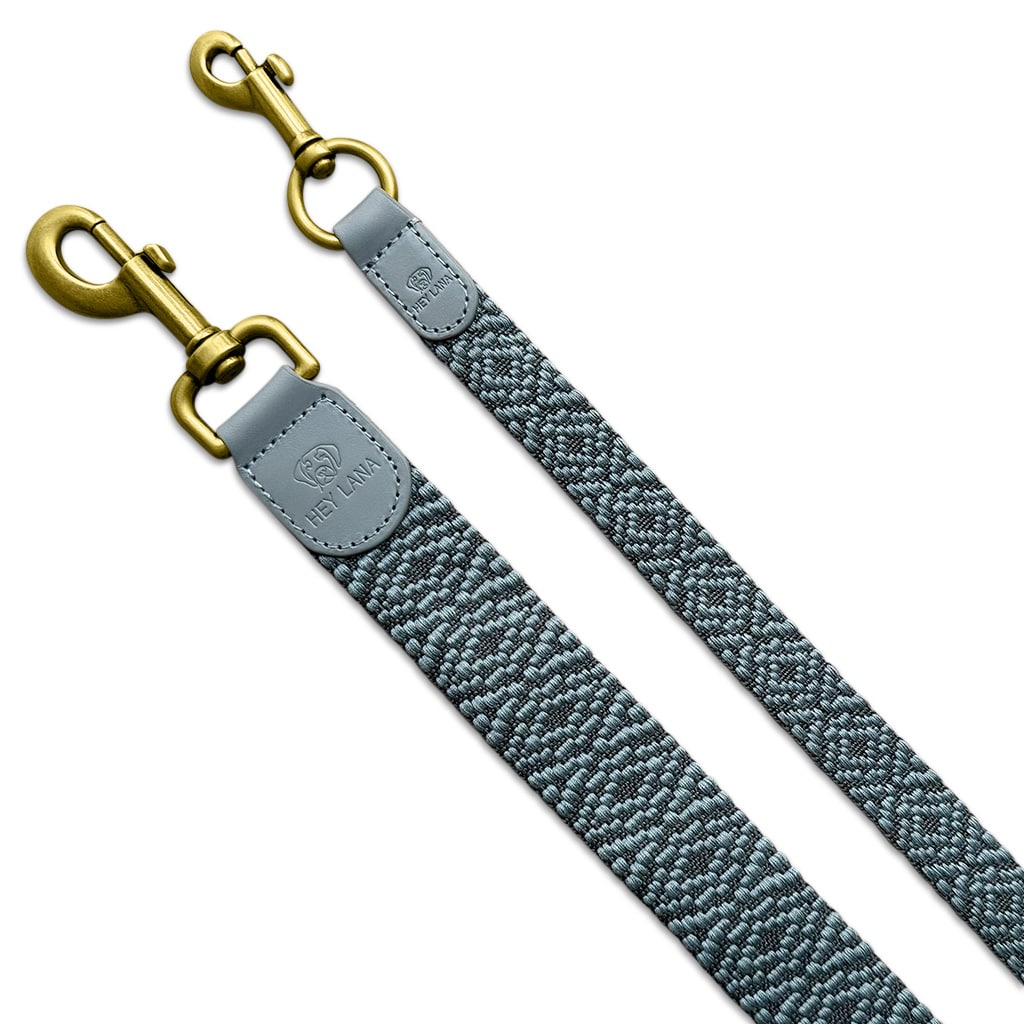 Sparset: Halsband & Leine in Anthrazit/Eisblau