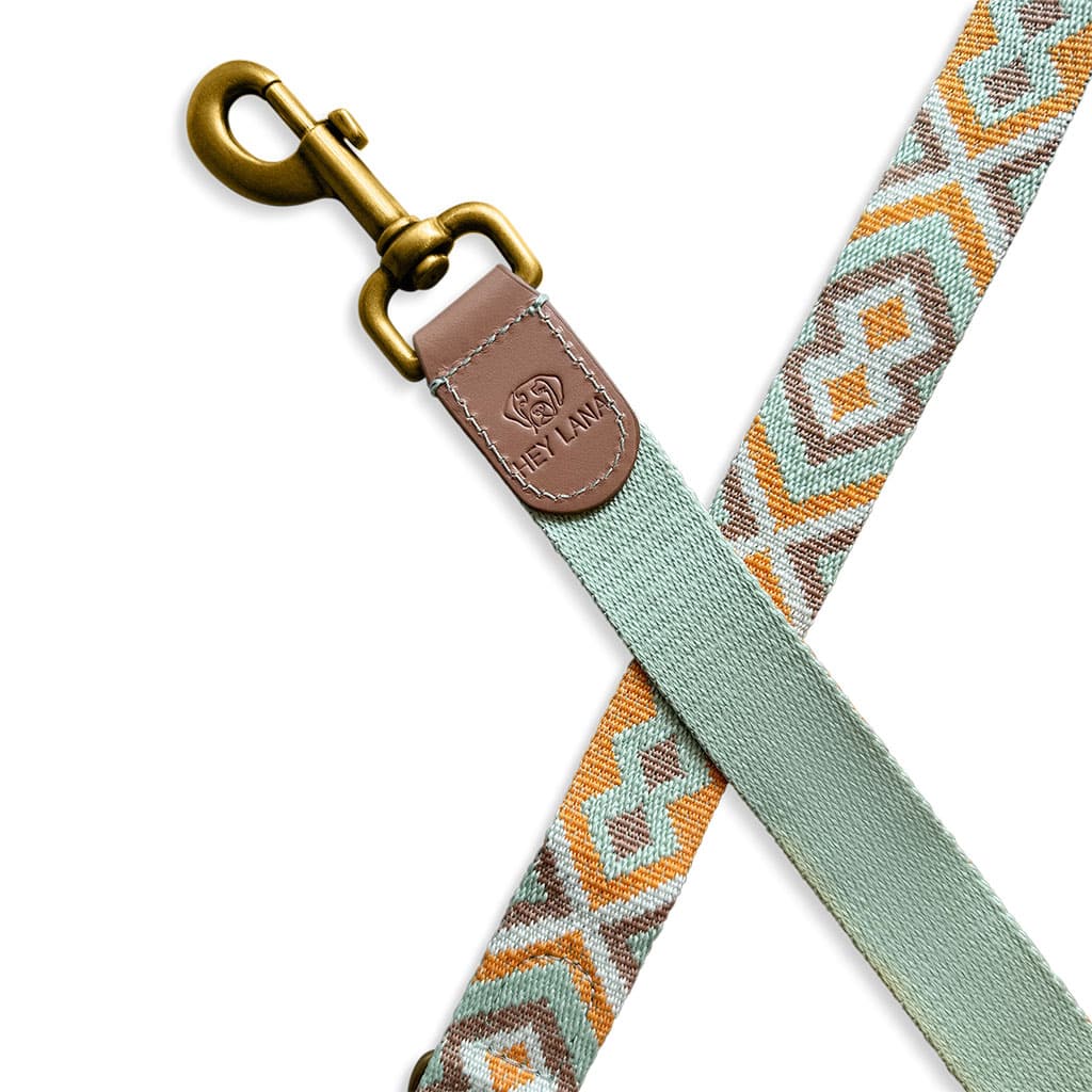 Sparset: Halsband & Leine in Mint/grün
