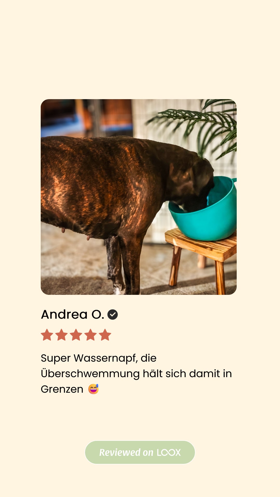 Antischlabbernapf Tassenform – 2,5L, Recycelt & Spritzfreies Trinken
