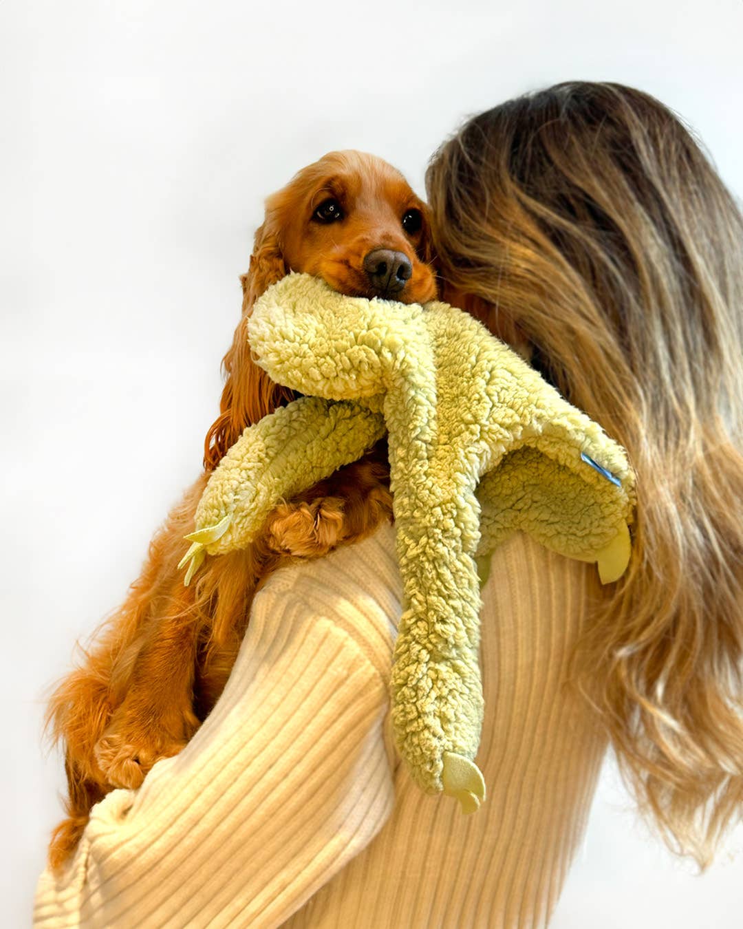 AromaStories Set – MUSK & ROSICCHIO Spielzeuge mit Duftfunktion, 5 € günstiger - Pfotenlieblinge