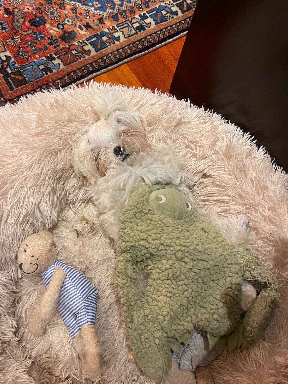 AromaStories Set – MUSK & ROSICCHIO Spielzeuge mit Duftfunktion, 5 € günstiger - Pfotenlieblinge