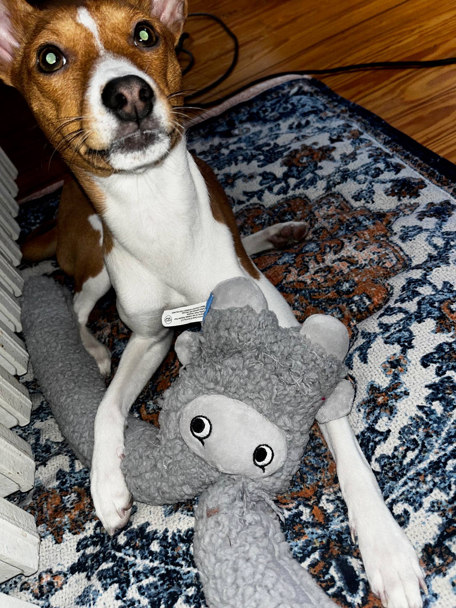 AromaStories Set – MUSK & ROSICCHIO Spielzeuge mit Duftfunktion, 5 € günstiger - Pfotenlieblinge