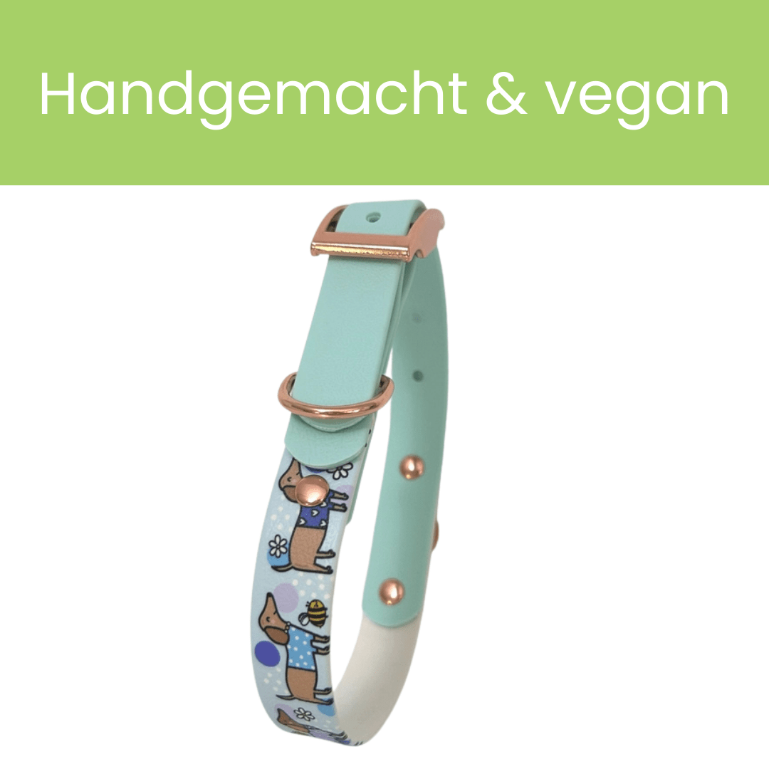 Bee Happy Dachshunds — Handgefertigtes Biothan - Hundehalsband — Babyblau - Pfotenlieblinge