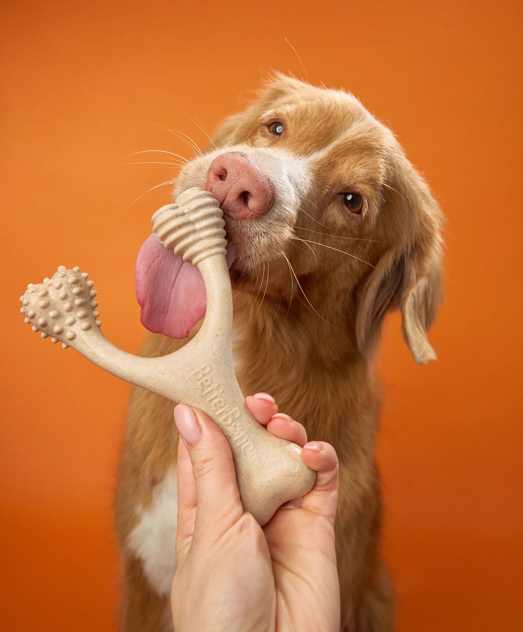 BetterBone Hundeknochen – Nachhaltig, Zahnfreundlich & Langlebiges Kauspielzeug