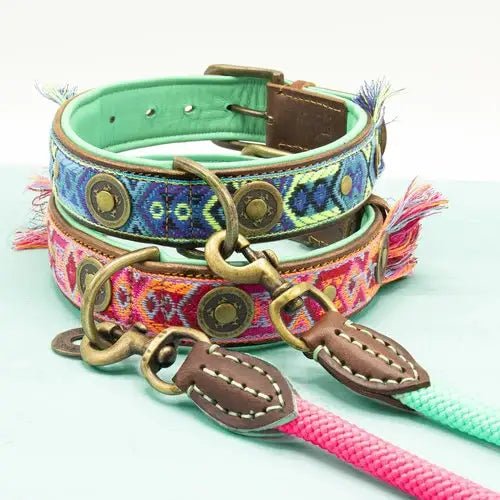 Boho Juan – Exklusives Hundehalsband aus Büffelleder - Pfotenlieblinge