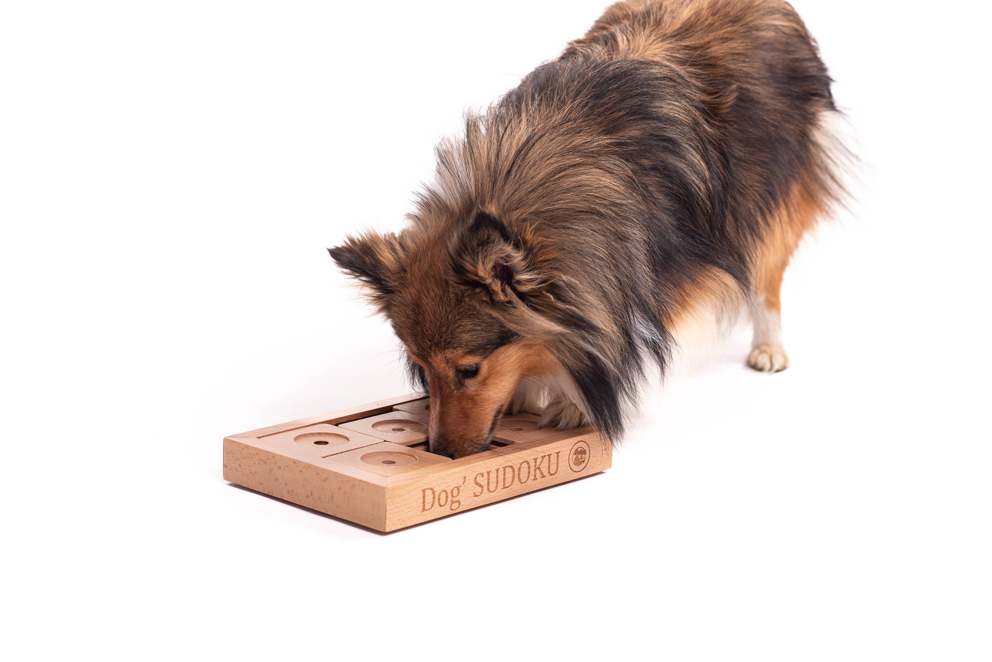 Intelligenzspielzeug-Set „SUDOKU, Piano & Happy Roll“ – 3 Level für schlaue Hunde