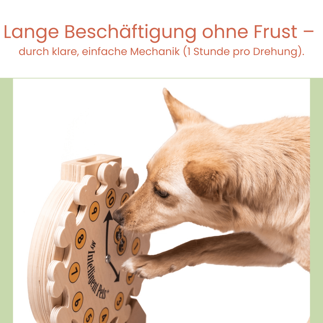 Clock - Spielzeug zur Bereicherung von Hund und Katze - Pfotenlieblinge