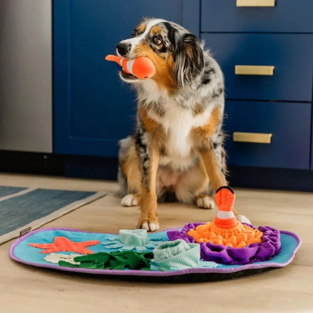 Coral Cove Schnüffelmatte – Nasenarbeit trifft Spielspaß - Pfotenlieblinge