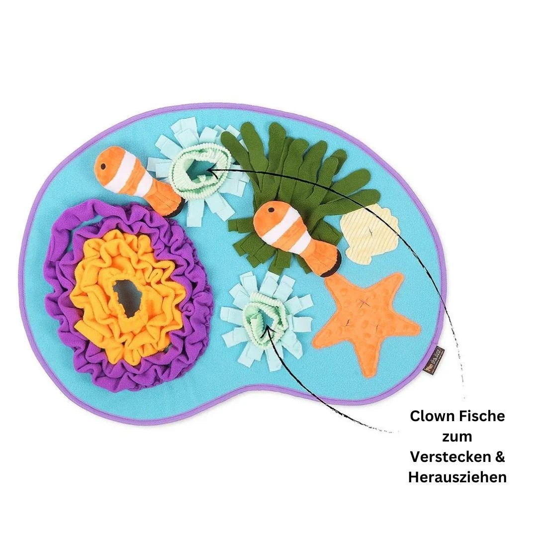 Coral Cove Schnüffelmatte – Nasenarbeit trifft Spielspaß - Pfotenlieblinge