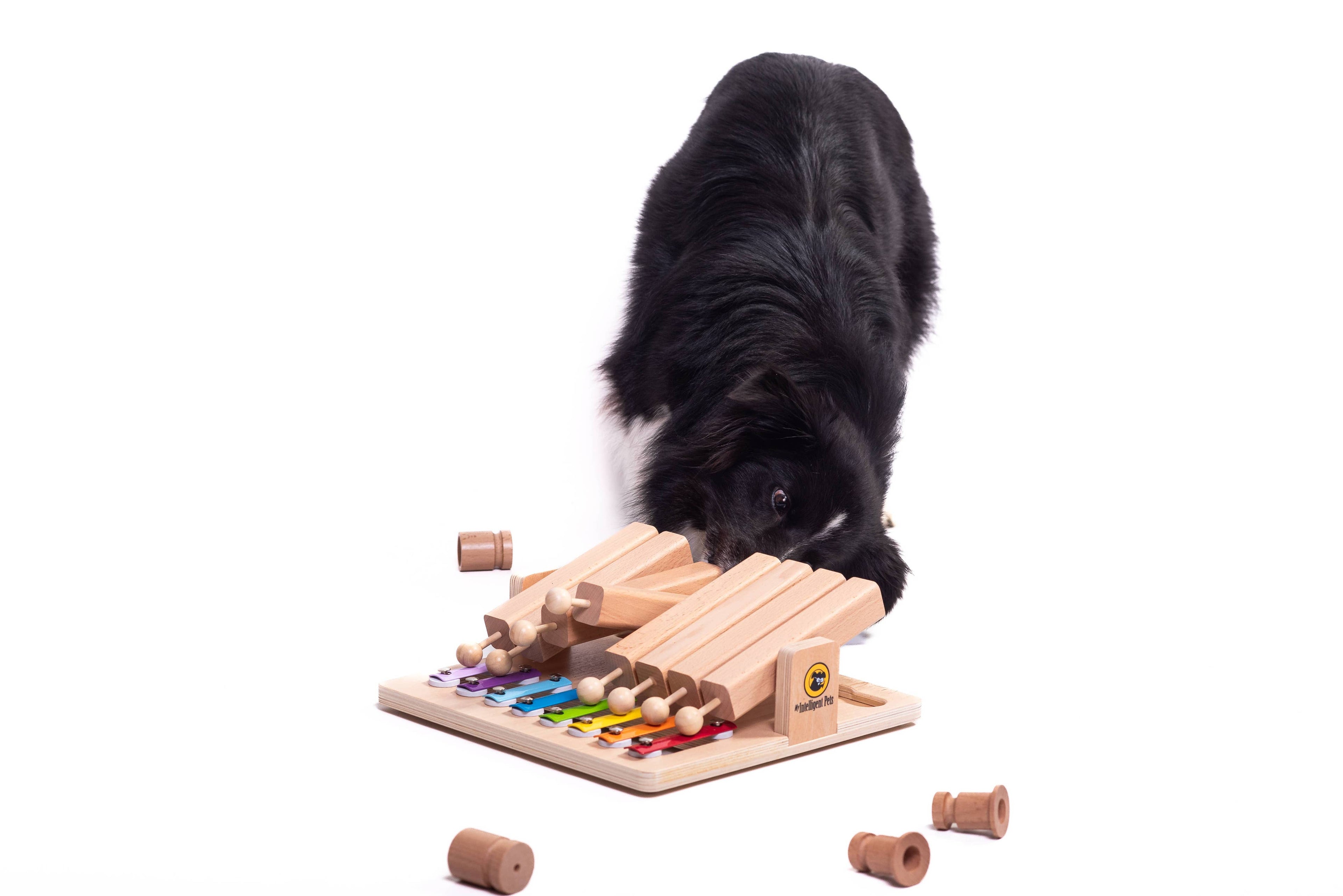 Piano - Interaktives Haustierspielzeug des Jahres Intelligenzspielzeug
