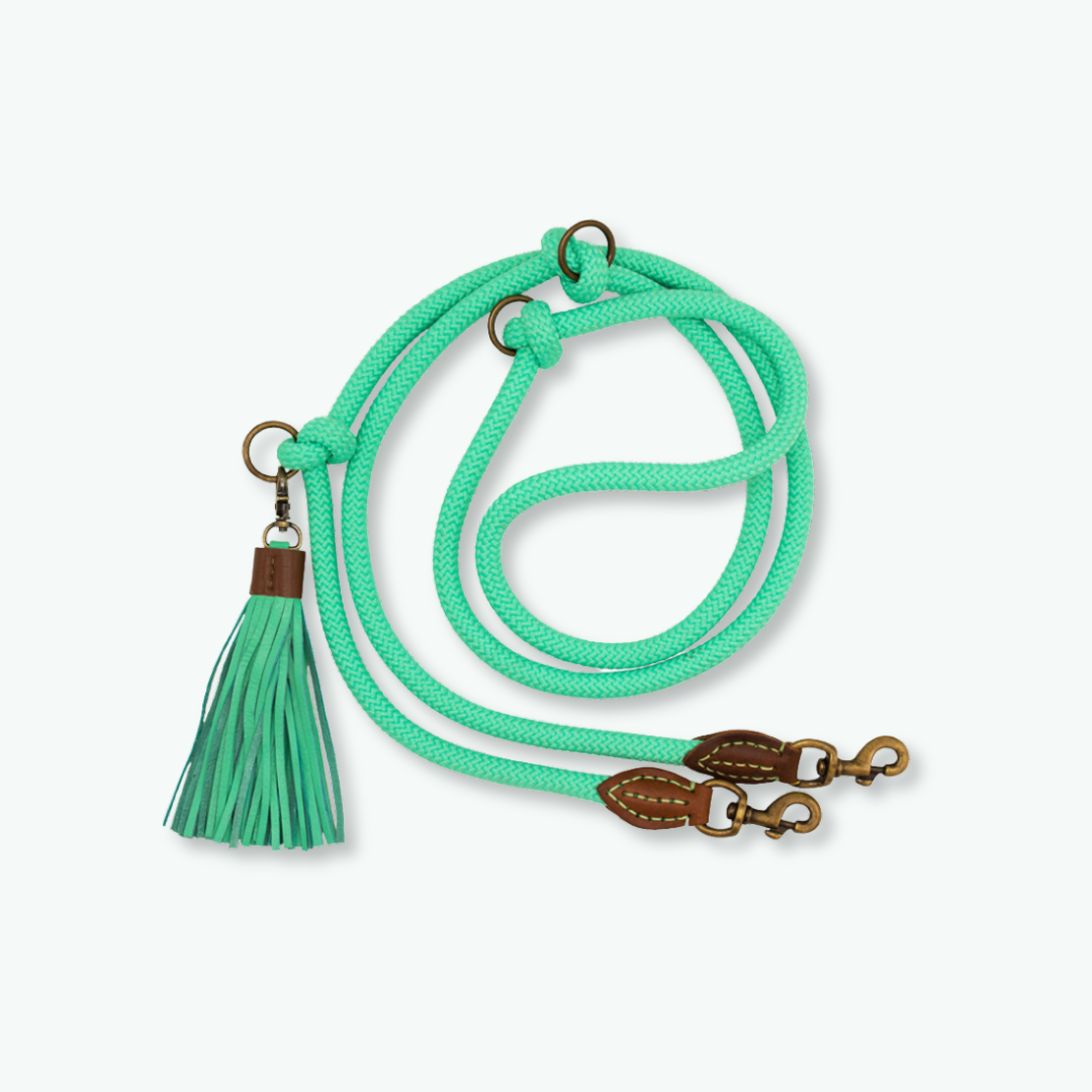 Exklusives Set: Boho Juan Halsband + Leine „Jade“