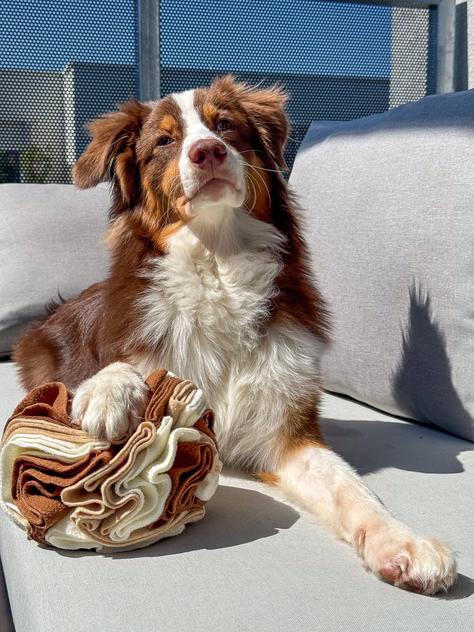 Schnüffelball für Hunde, Snackspielzeug Hund, Hundespielzeug