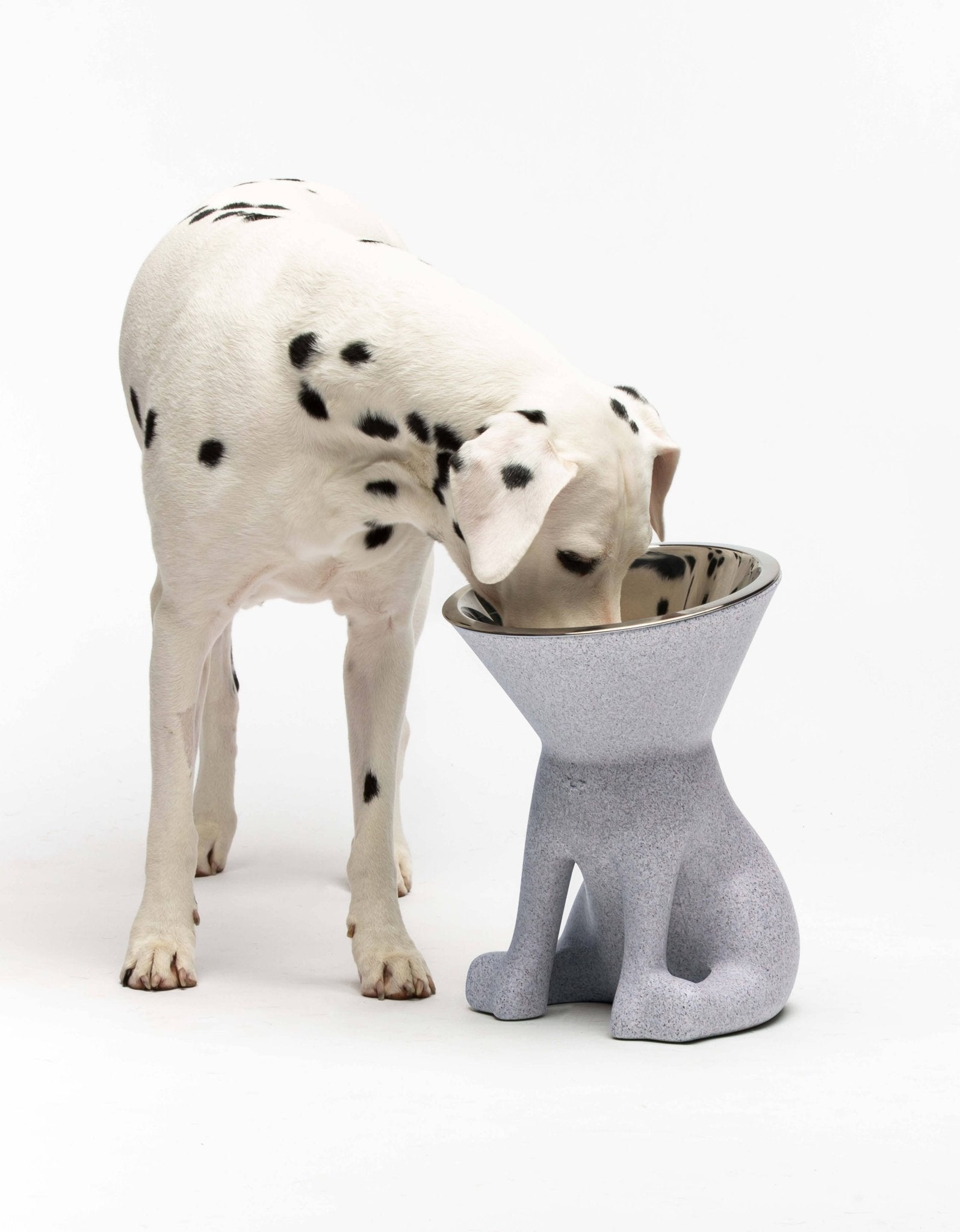 Elizabeth: Erhöhter Hundenapf - Pfotenlieblinge