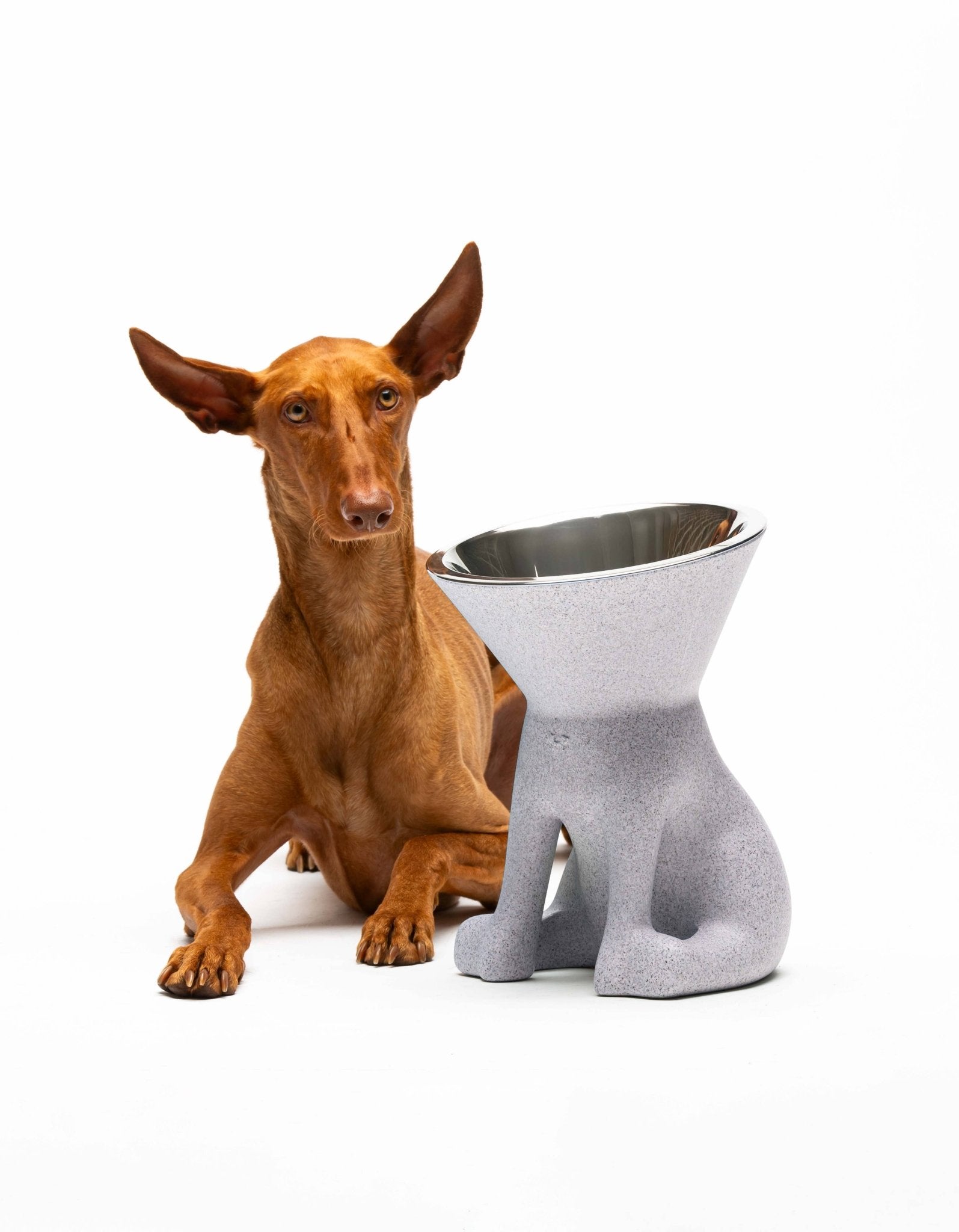 Elizabeth: Erhöhter Hundenapf - Pfotenlieblinge