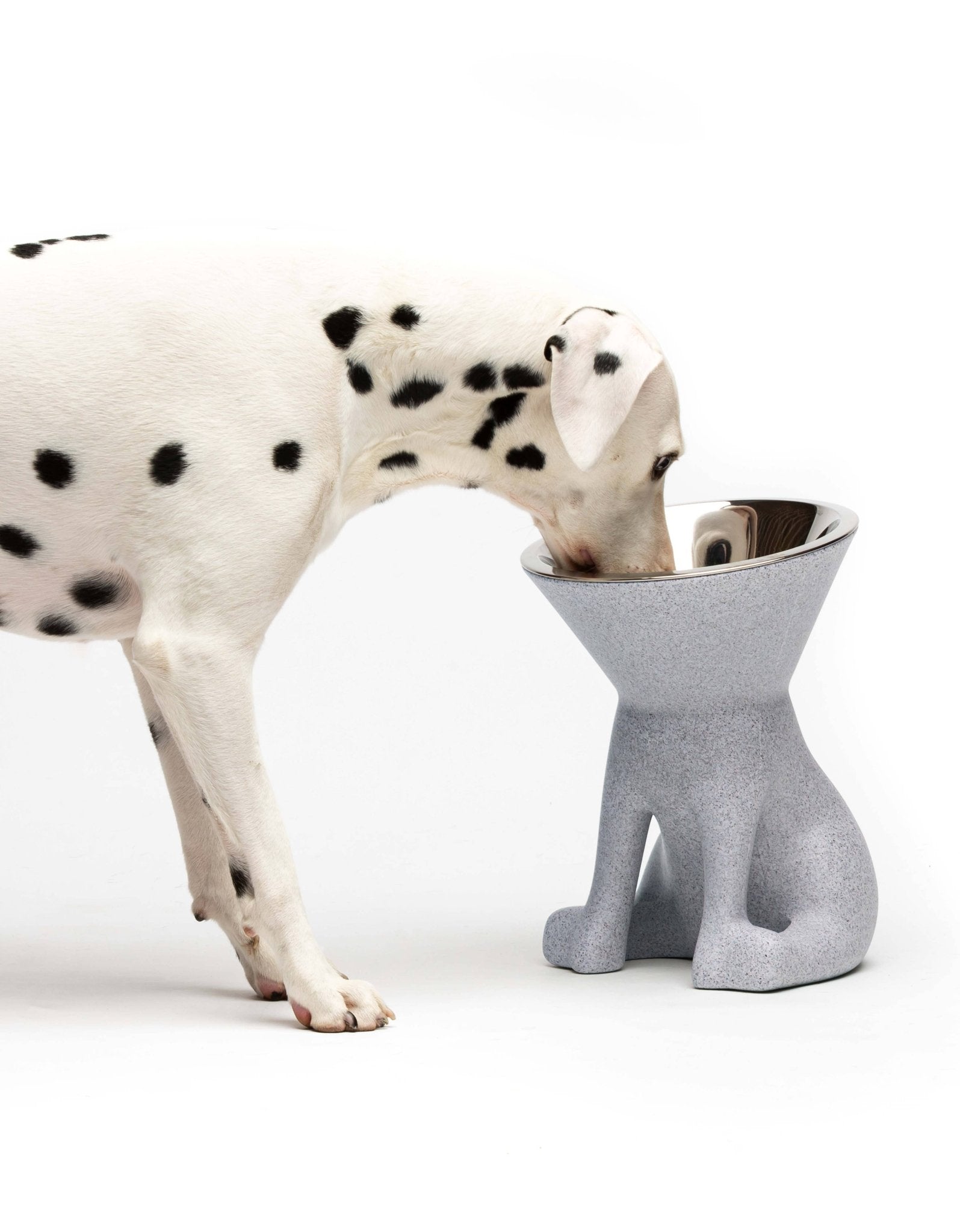 Elizabeth: Erhöhter Hundenapf - Pfotenlieblinge