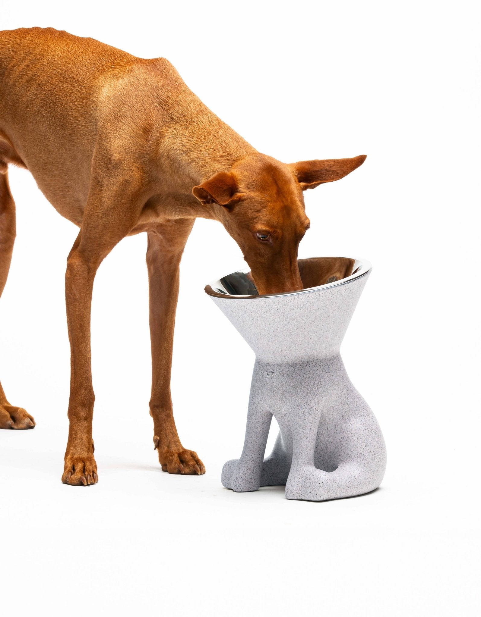 Elizabeth: Erhöhter Hundenapf - Pfotenlieblinge