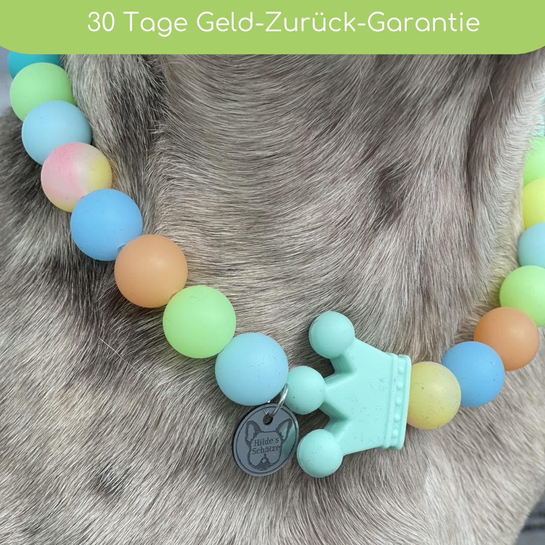 Leuchtkette „Prince“ für Hunde – handgefertigt & ohne Strom