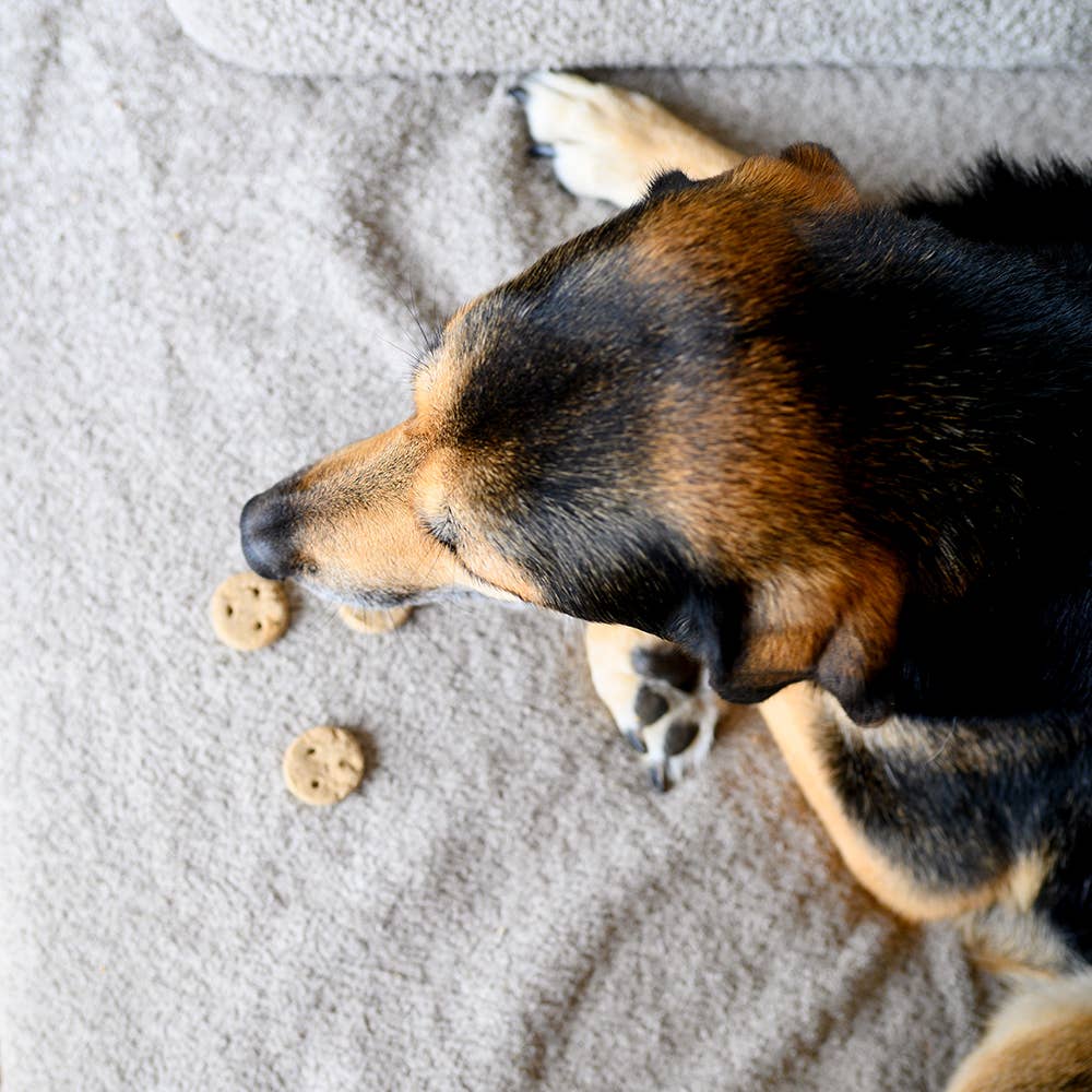 VEGDOG Bedtime Cookie – Beruhigender Gute-Nacht-Snack
