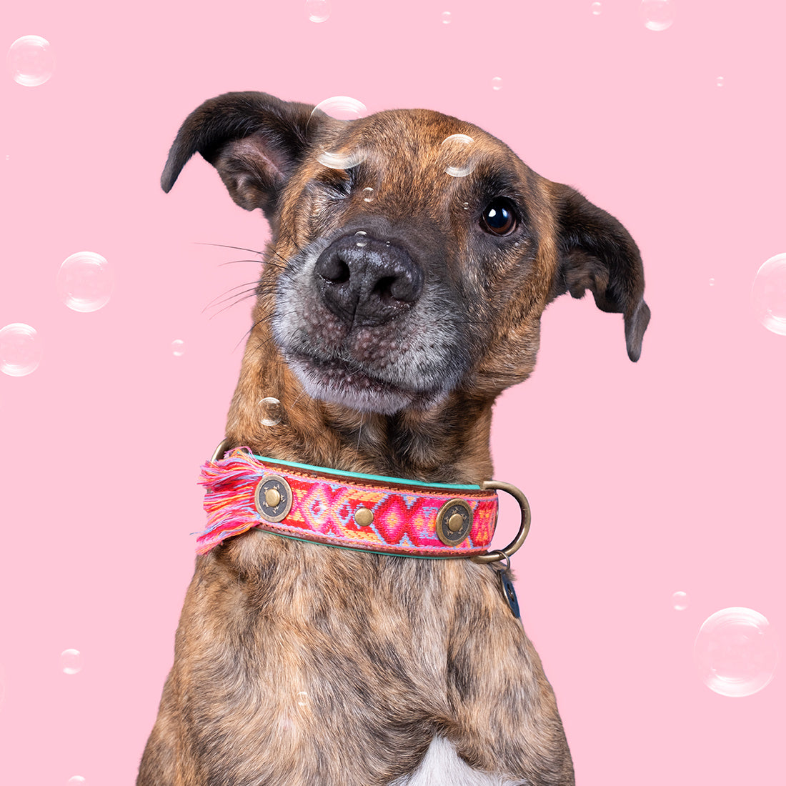 Exklusives Set: Boho rosa Halsband + Leine „Sugarbabe“