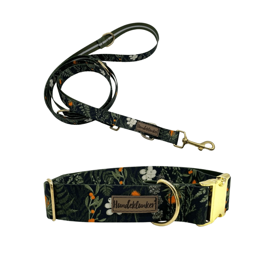Forest Walkies Set – Nachhaltige Leine & Halsband aus rPet & Kaktusleder, handgemacht - Pfotenlieblinge