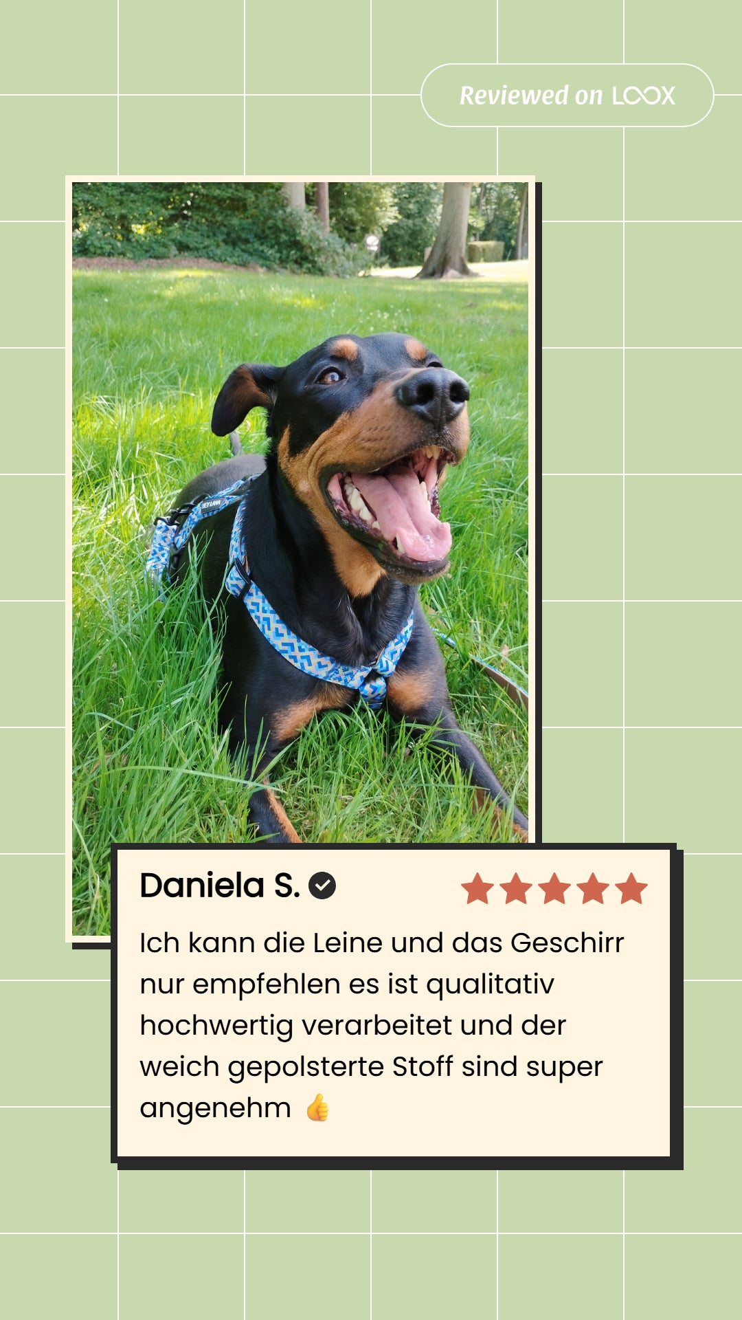 Gepolsterte Multifunktionsleine – Mocca/Blau | 230 cm