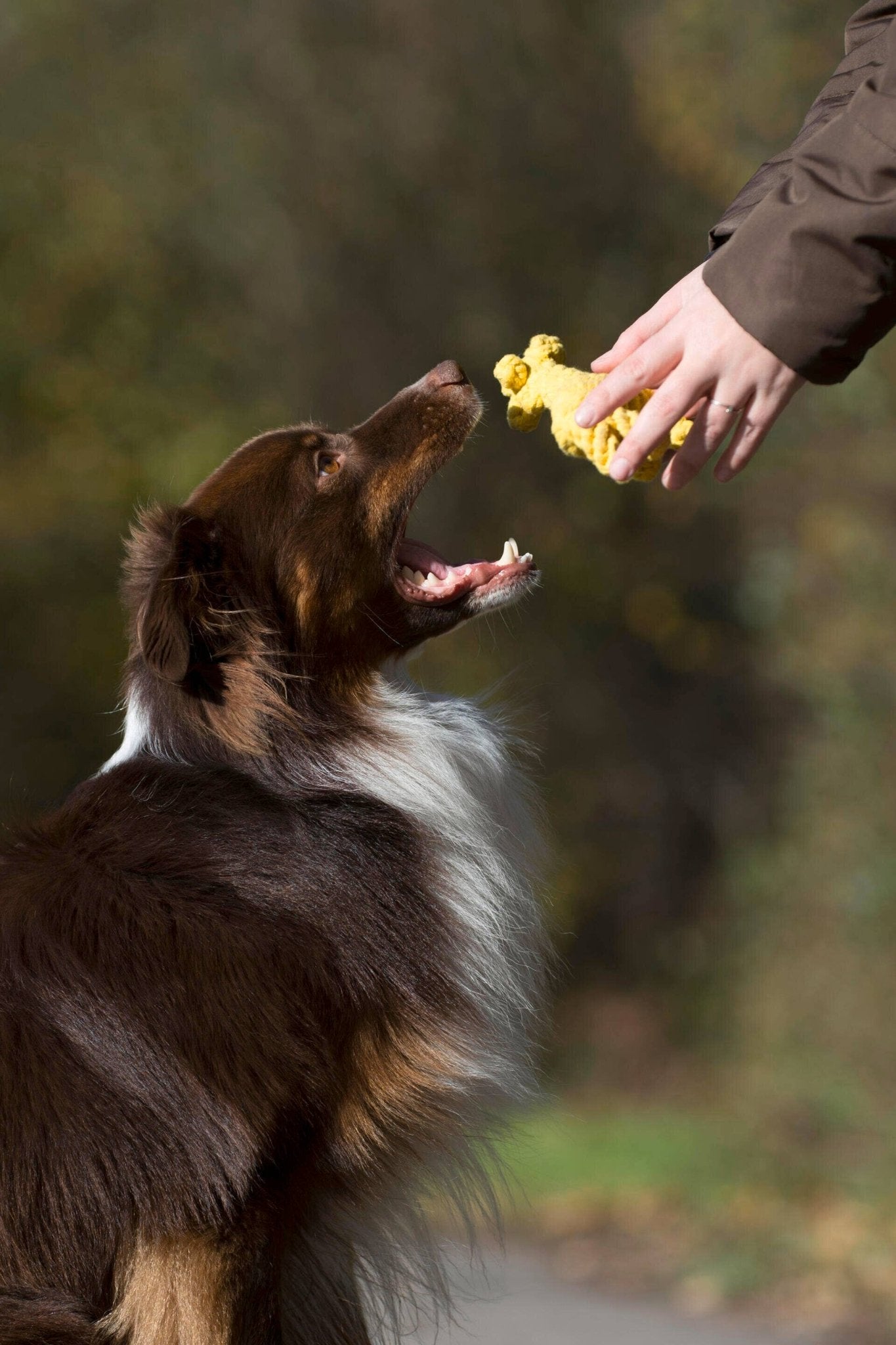 Greta Giraffe – Handgemachtes Hundespielzeug aus Baumwolle - Pfotenlieblinge