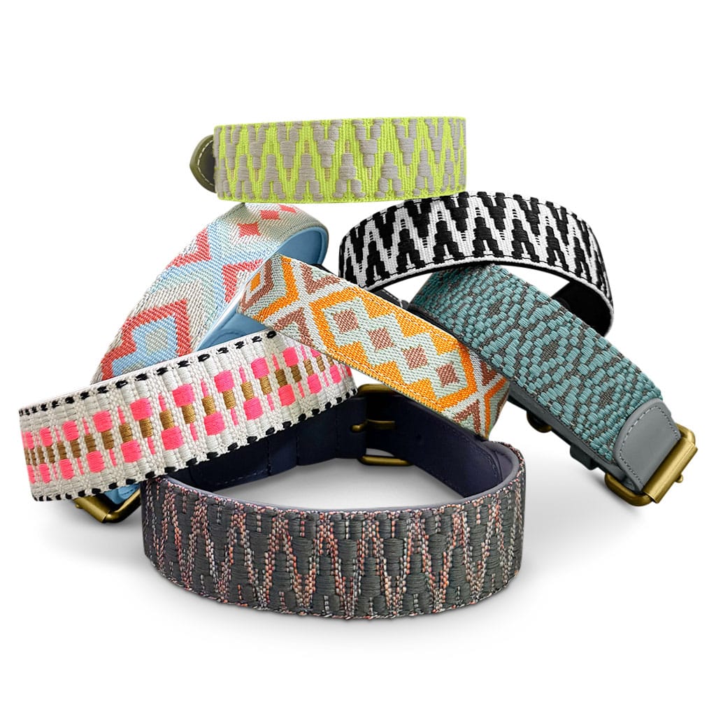 Premium Hundehalsband gepolstert Coral/Blau - Pfotenlieblinge