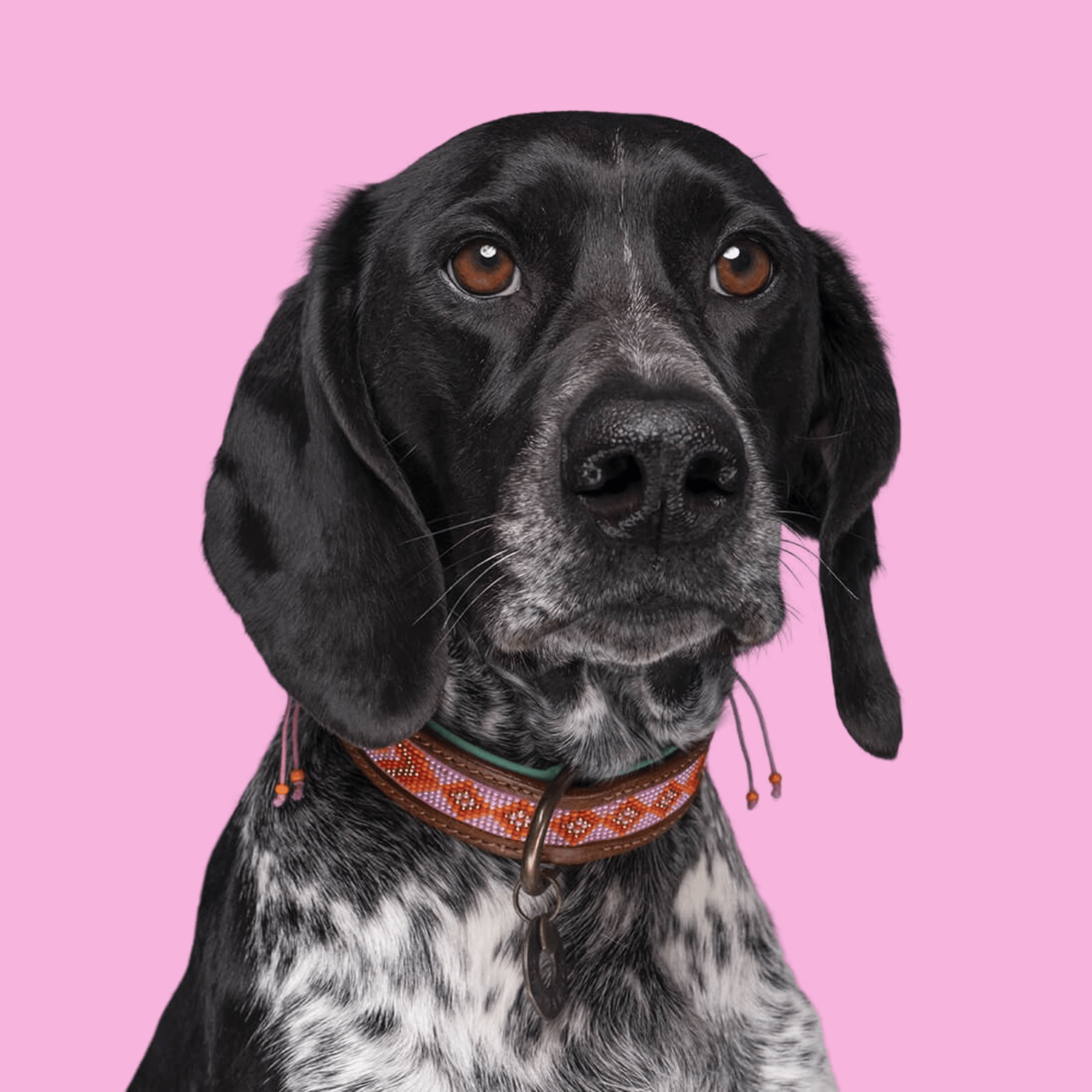 Halsband „Sweet Mae“ – handgefertigt aus Leder mit rosa Perlen - Pfotenlieblinge