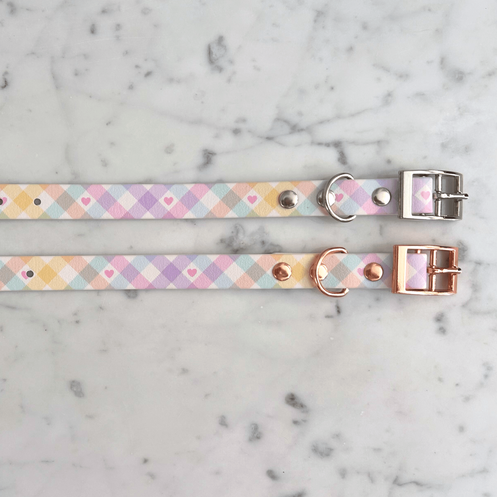 Handgemachtes Hundehalsband – Biothane & exklusive Prints - Pfotenlieblinge