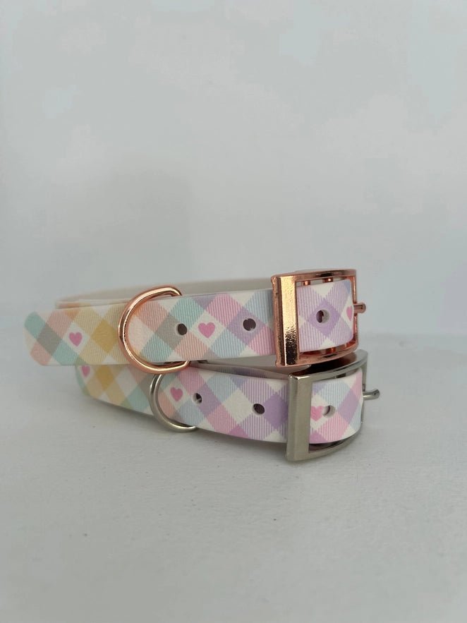 Handgemachtes Hundehalsband – Biothane & exklusive Prints - Pfotenlieblinge