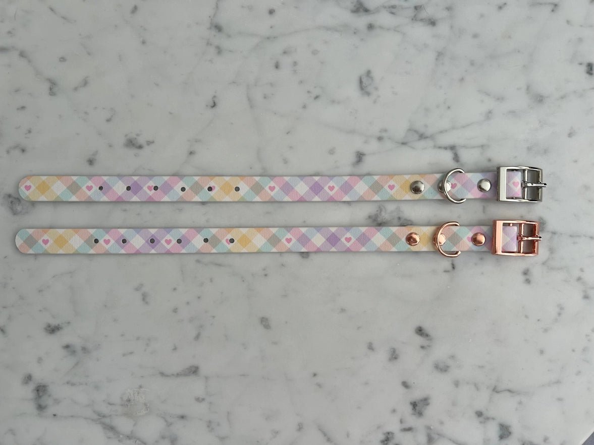 Handgemachtes Hundehalsband – Biothane & exklusive Prints - Pfotenlieblinge